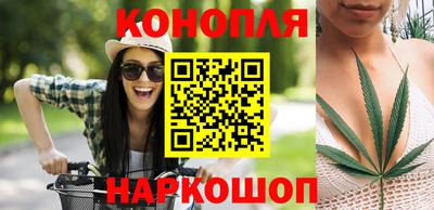 гашик Кунгур